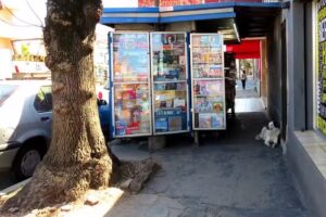 Analicia Diarios y Revistas