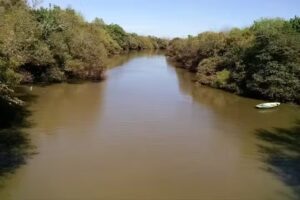 Diario el Entre Rios