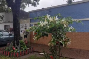 DIARIO LAGUNA PAIVA Y LA REGIÓN