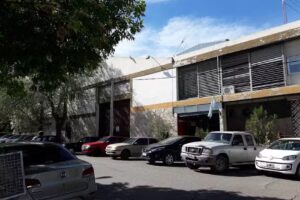 Diario LM Neuqu&eacute;n