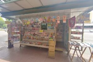 Diarios y Revistas Alberdi (entregas ML)