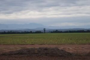 El Turista Periodico