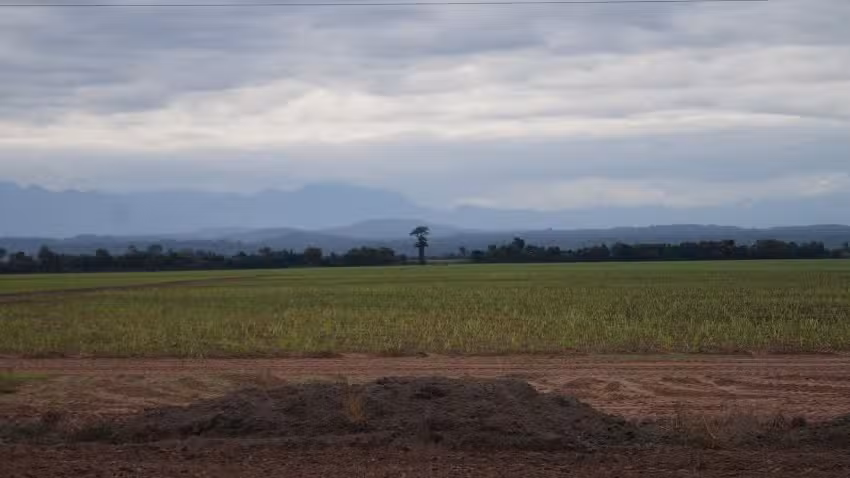 El Turista Periodico