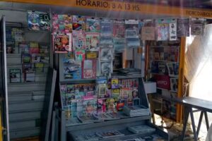 Fiore Diarios y revistas