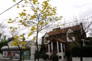 Kiosko De Diarios Y Revistas “La Sete”