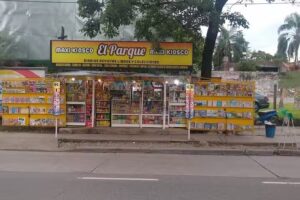 Maxi kiosco el “Parque ” diarios y revistas