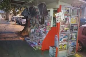 Parada de Diarios Leon Olivos