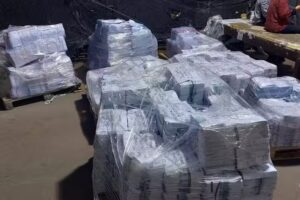 Rosario Diarios & Revistas